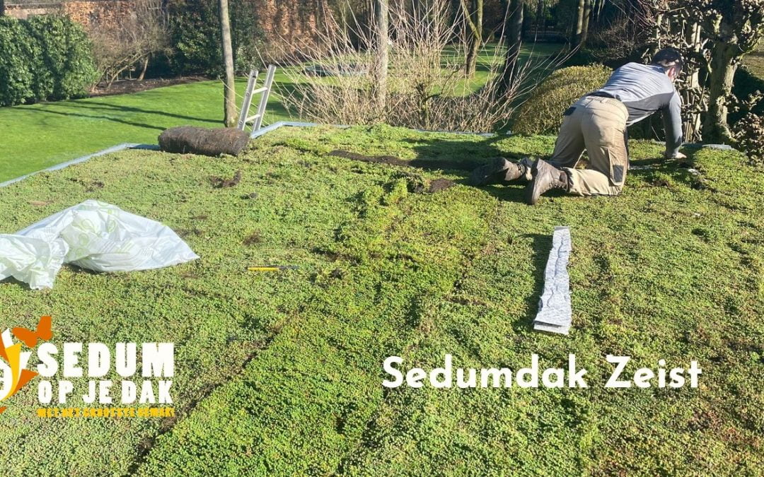 Sedumdak Zeist