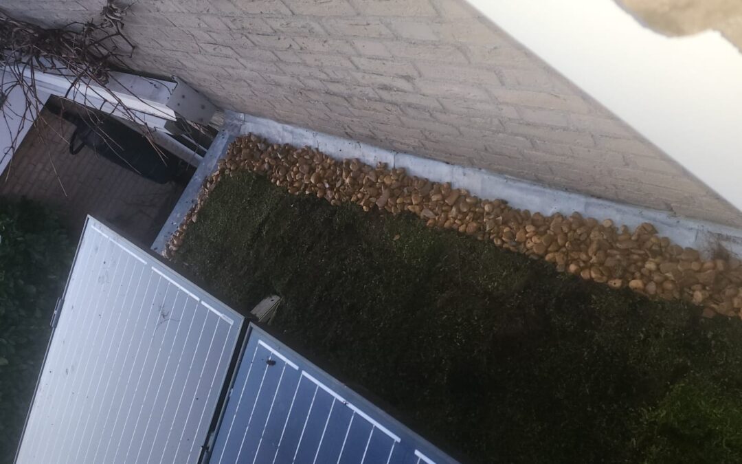 Groendak met zonnepanelen: alles wat je moet weten (voordelen, kosten, onderhoud & installatie)