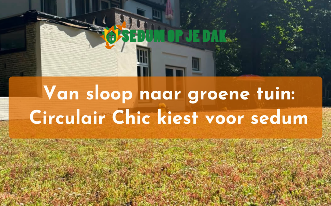 Van sloop naar groene tuin: Circulair Chic kiest voor sedum